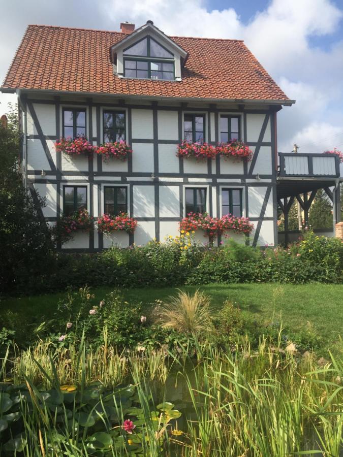 Schoene Gemuetliche Ferienwohnung Mit Kamin I Im Harz Darlingerode Εξωτερικό φωτογραφία