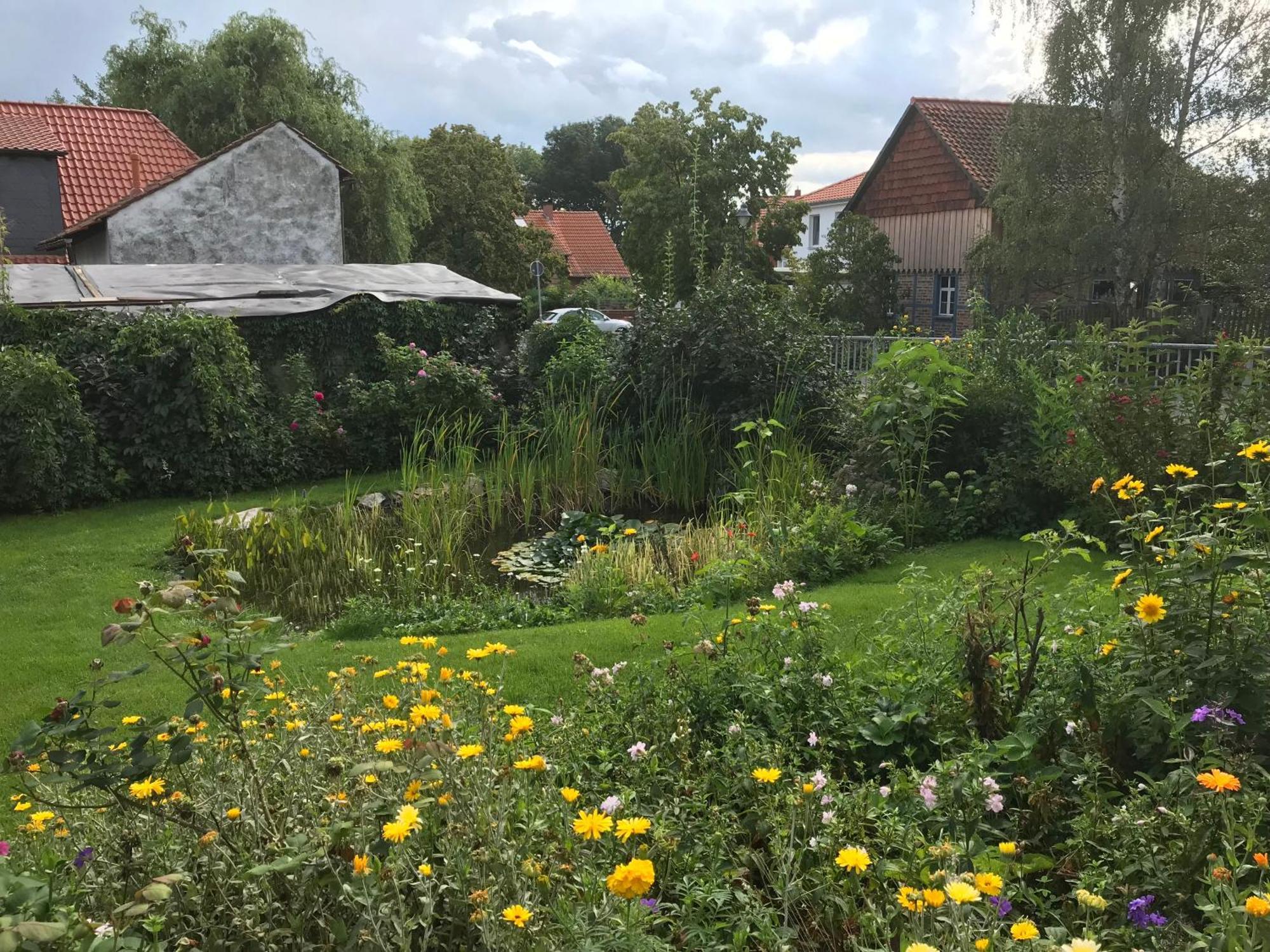 Schoene Gemuetliche Ferienwohnung Mit Kamin I Im Harz Darlingerode Εξωτερικό φωτογραφία