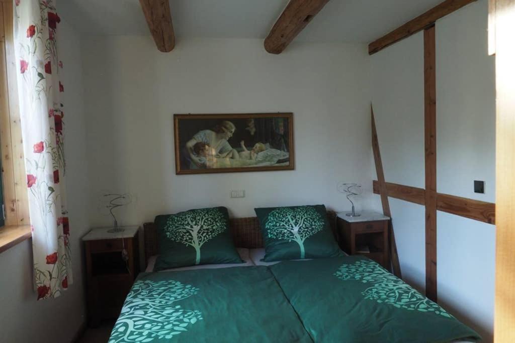 Schoene Gemuetliche Ferienwohnung Mit Kamin I Im Harz Darlingerode Εξωτερικό φωτογραφία